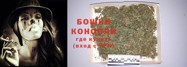 индика Балабаново