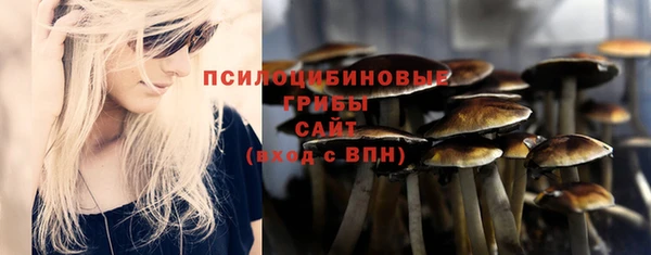 индика Балабаново