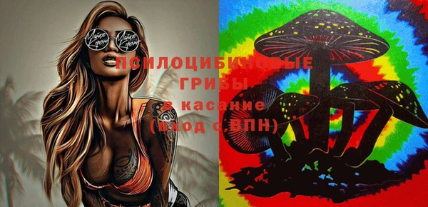 мяу мяу мука Балахна