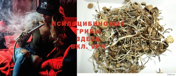 индика Балабаново