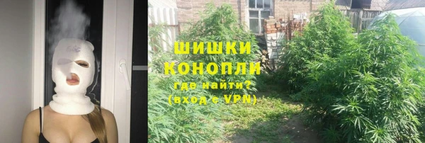 индика Балабаново