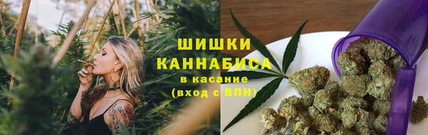 индика Балабаново