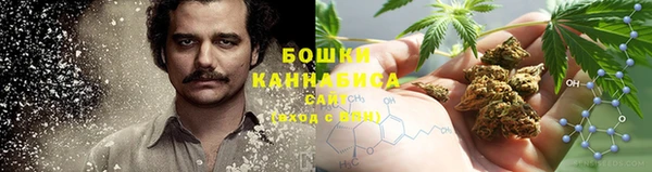 индика Балабаново