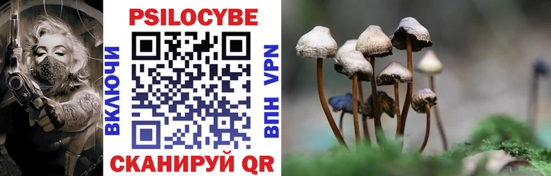 Галлюциногенные грибы Psilocybe  купить наркоту  Переславль-Залесский 